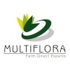 MULTIFLORA